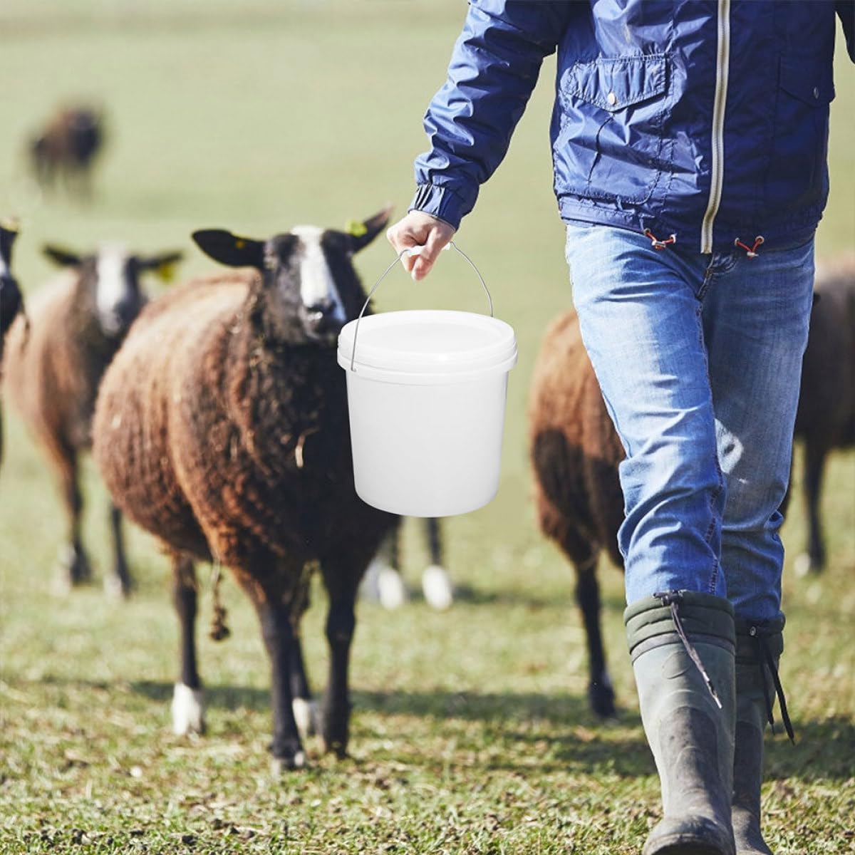 Abaodam Cubo Redondo de Plástico Blanco de 10l Tapa Segura, Multifuncional para Almacenamiento y Pintura, Pack de 2 Unidades Adecuado para Uso Doméstico