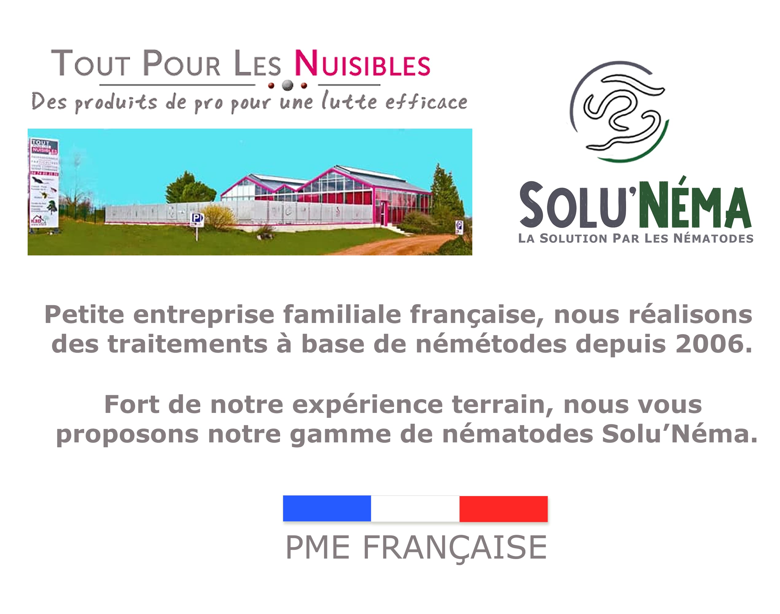 SOLUNEMA - Nématodes Contre le Papillon du Palmier et le Charançon Rouge - 50 millions - Pour 4 à 6 Palmiers