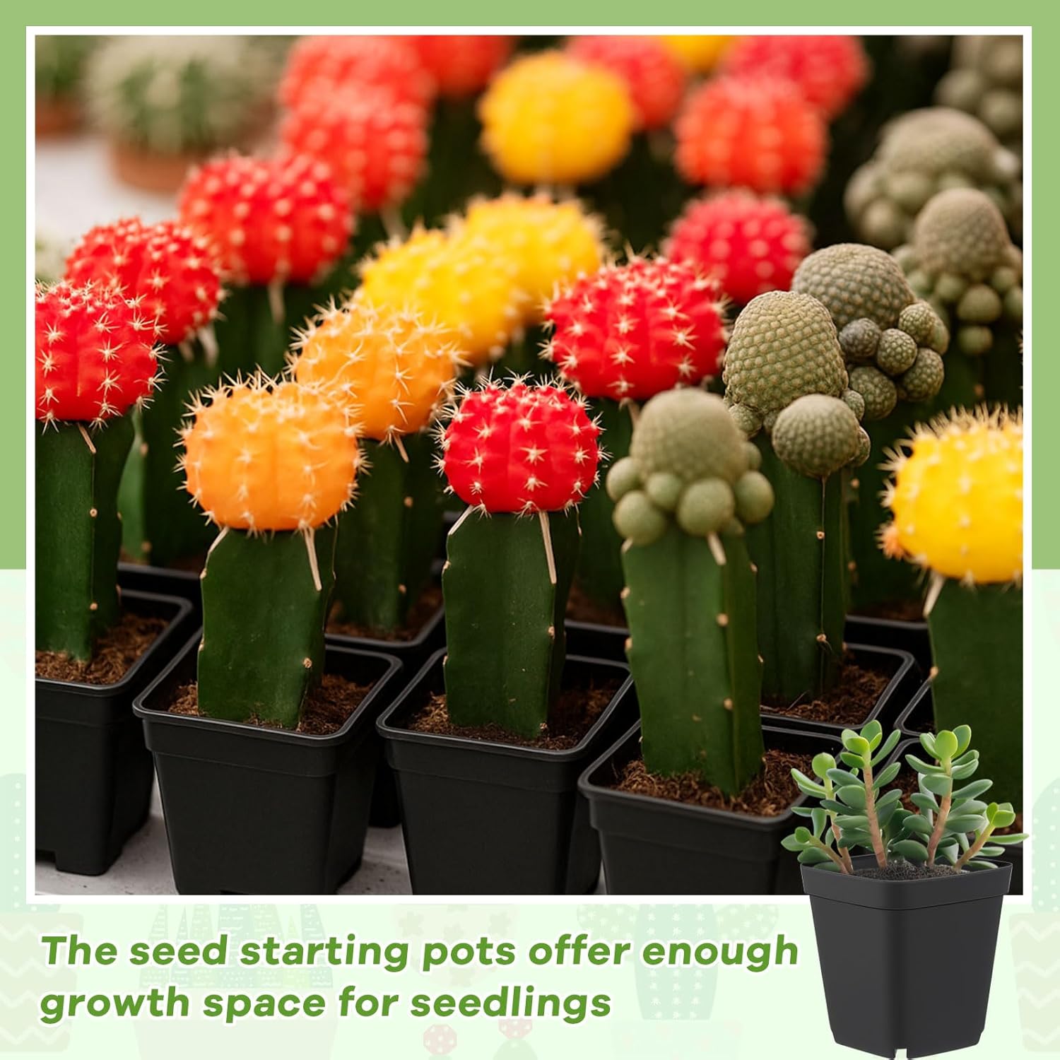 Yaomiao 200 Pack 3 Inch Black Nursery Pot Square Flower Pots Plastic Plant Succulent Planter Seed Starting Pots with Drainage Holes for Garden Office Balcony Decor Indoor Outdoor Plant Seedling - Image 6