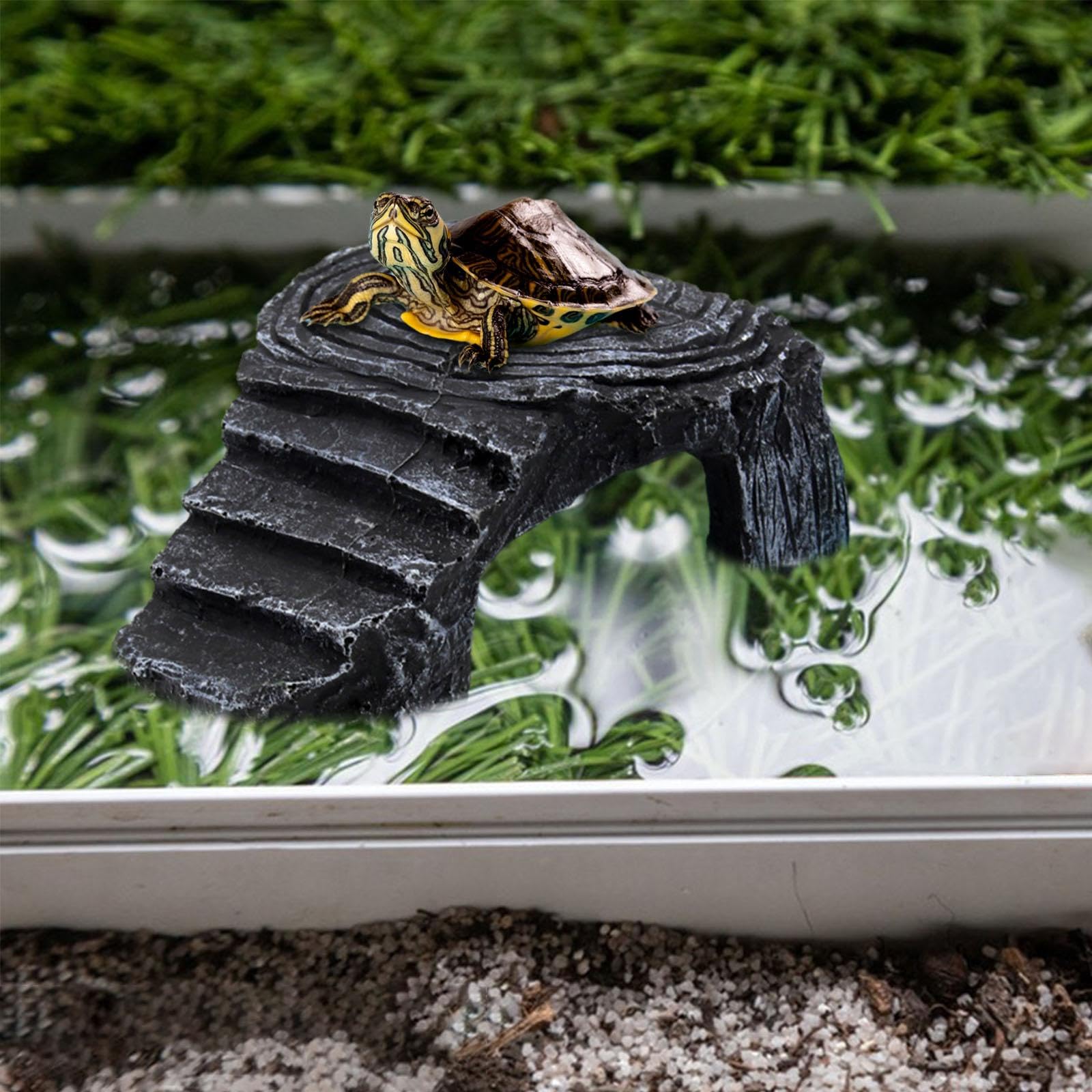 亀です Amazon | Nicheez 亀 水槽 タートル ボックス かめ カメ 爬虫類