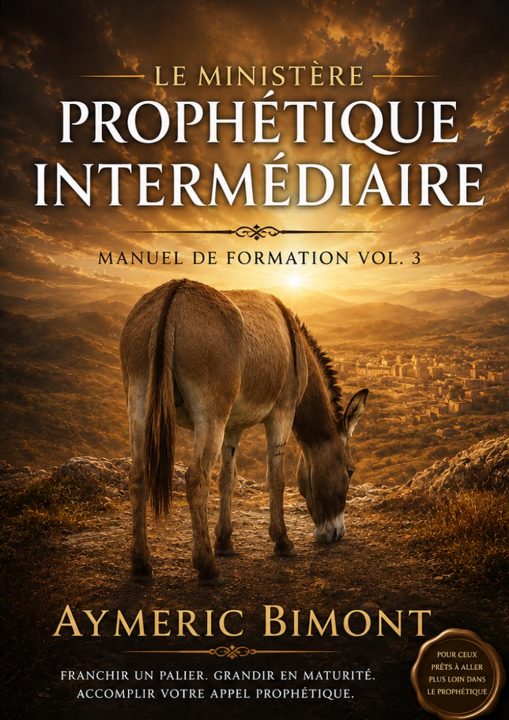 Le Ministère Prophétique Intermédiaire: Manuel de Formation Vol.3 (Formation Prophétique)