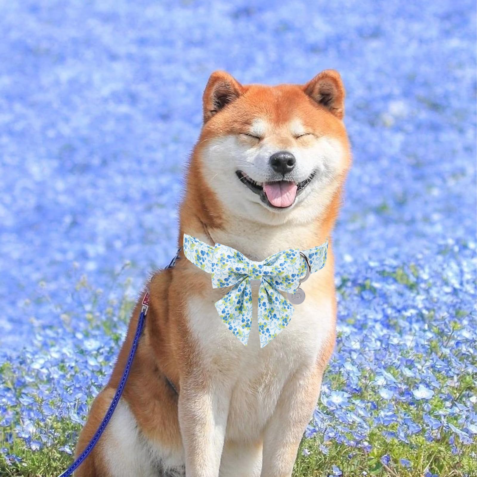 Collier pour chien printemps et été avec nœud papillon, collier réglable pour fille et garçon, collier papillon bleu printemps pour chiens, XS