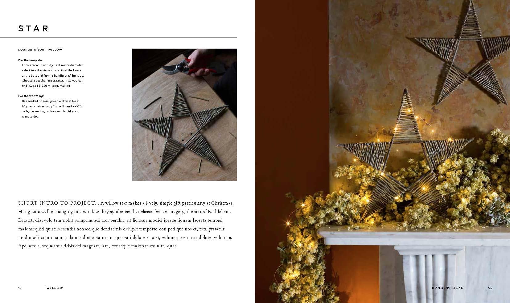 Willow: A Guide to Growing and Harvesting--Plus 20 Beautiful Woven Projects