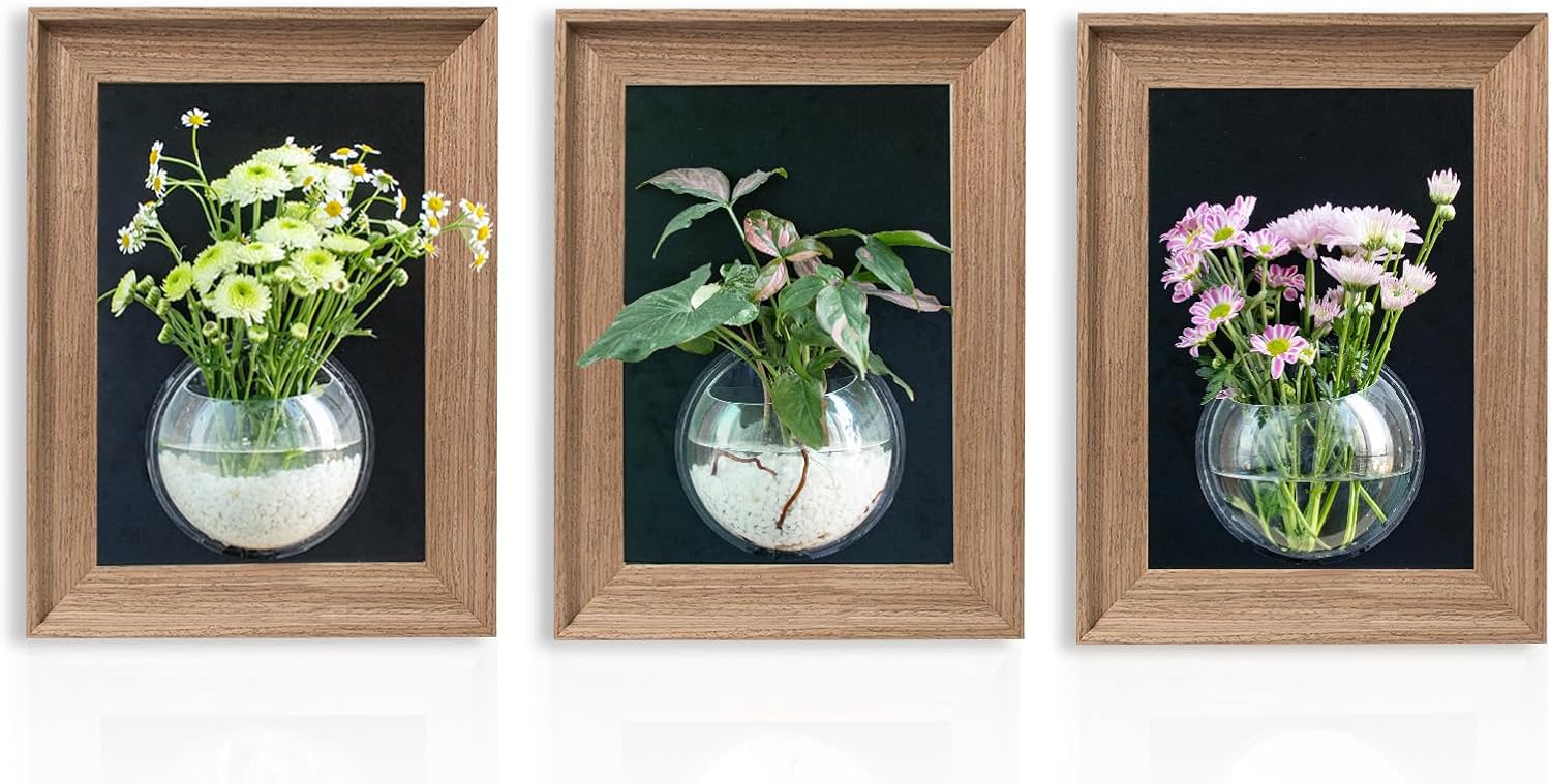 Walnut Wooden Frame Wall Hanging Planter for Hydroponic Plants?12'' x16''inch Wall Vase with Oblate-Shaped Acrylic Propagation Station?Bathroom, Office, or Living Room Decor, Set of 3 Walnut - 3pc