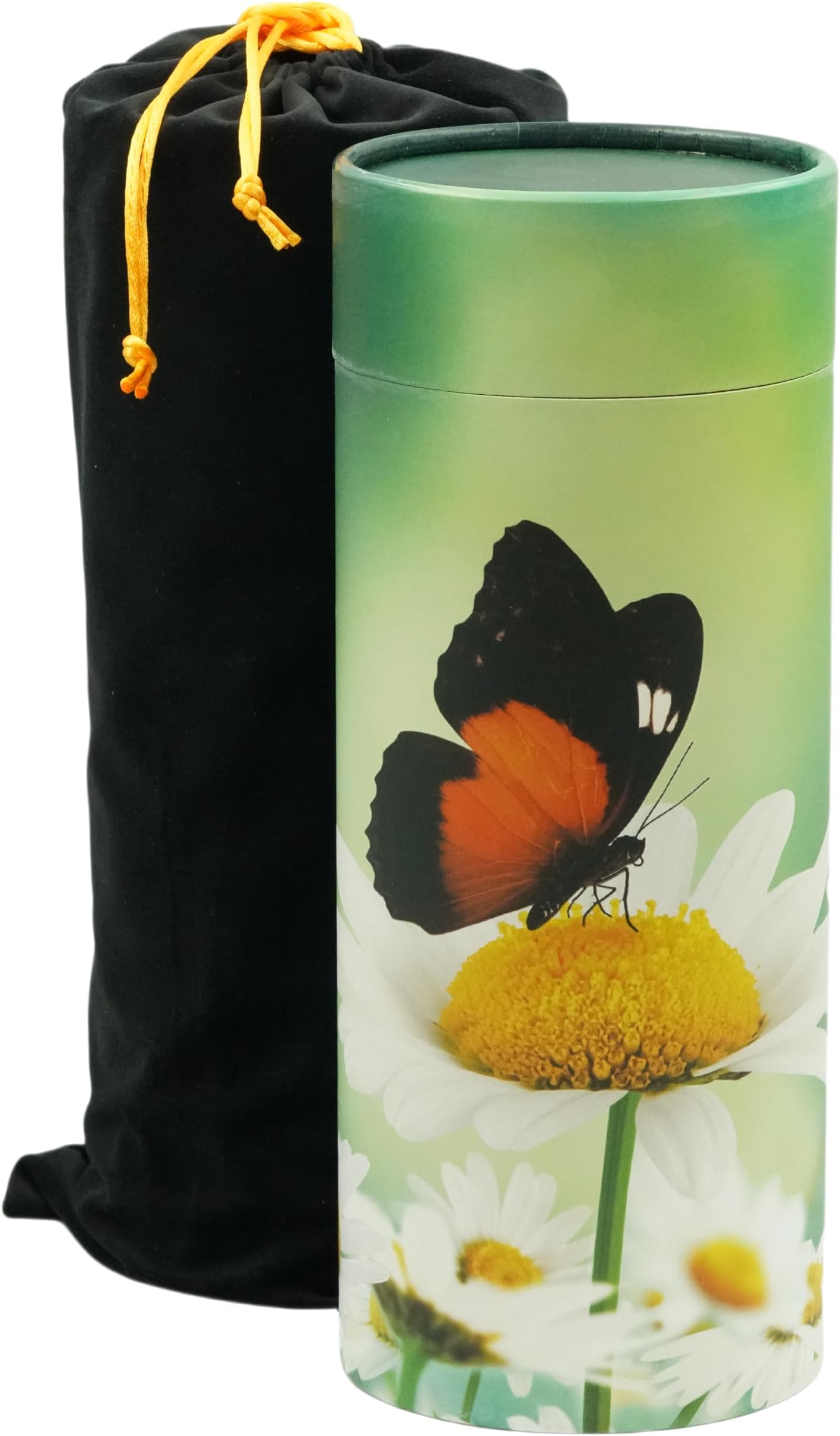 Casket Depot Memorial Collection Butterfly Scatter Urn (Adult) Cremation Scattering Tube - Large - Holds Up to 240 Cubic Inches of Ashes - Biodegradable Cremation Urn - Engraving Sold Separately