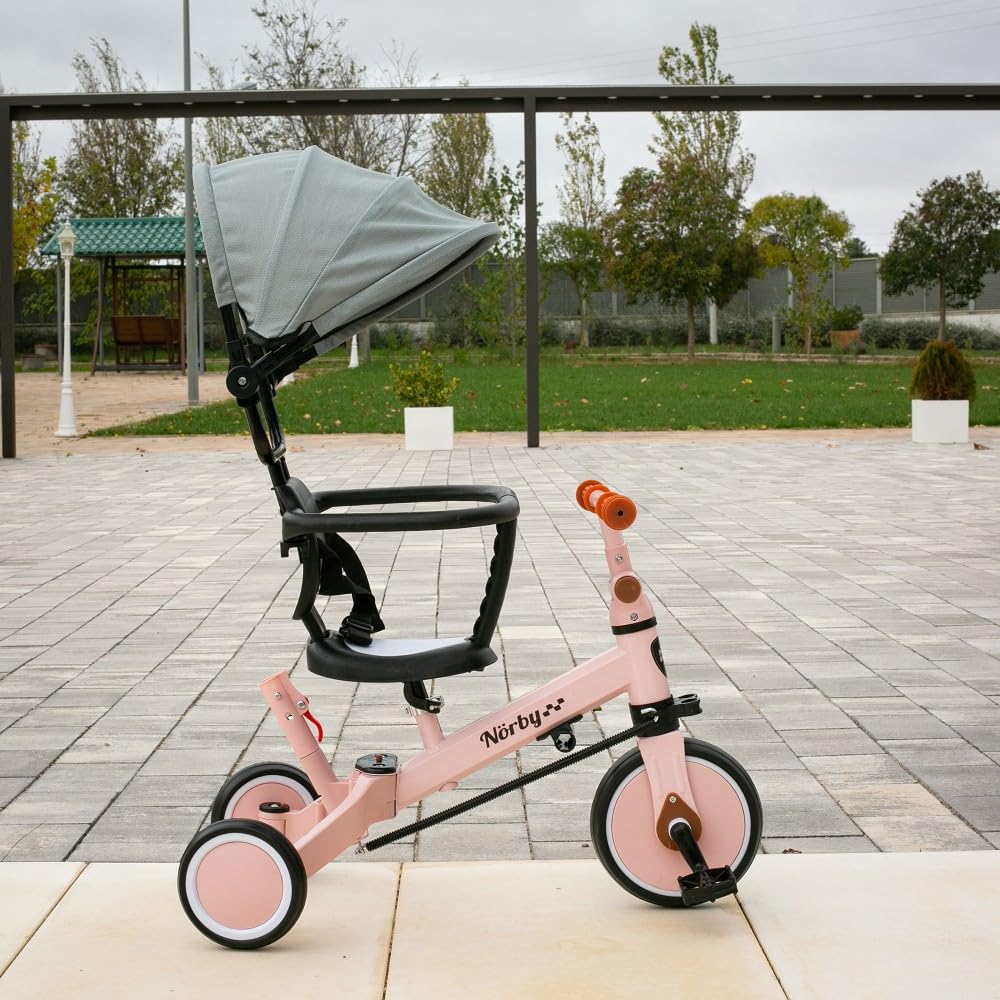 Interbaby - Triciclo "Norby" e Bici Evolutiva 5 in 1 con Capottina - 1-5 Anni