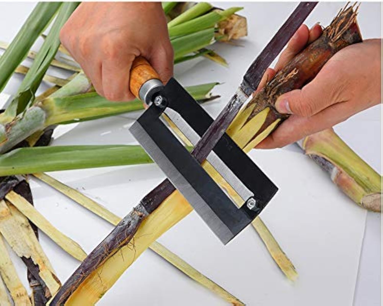 we3 Sugarcane & Pineapple Peeling Knife ? Stainless Steel Blade with Wooden Handle, Multifunctional Peeler for Hard Fruits, Durable Plywood Design, Sharp & Efficient Cutter Tool
