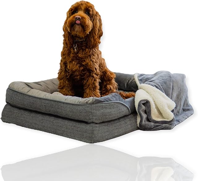 Purple Reef ® Orthopedic Dog Beds - Luxury washable medium dog sofa bed for a calming night's sleep (M) with blanket