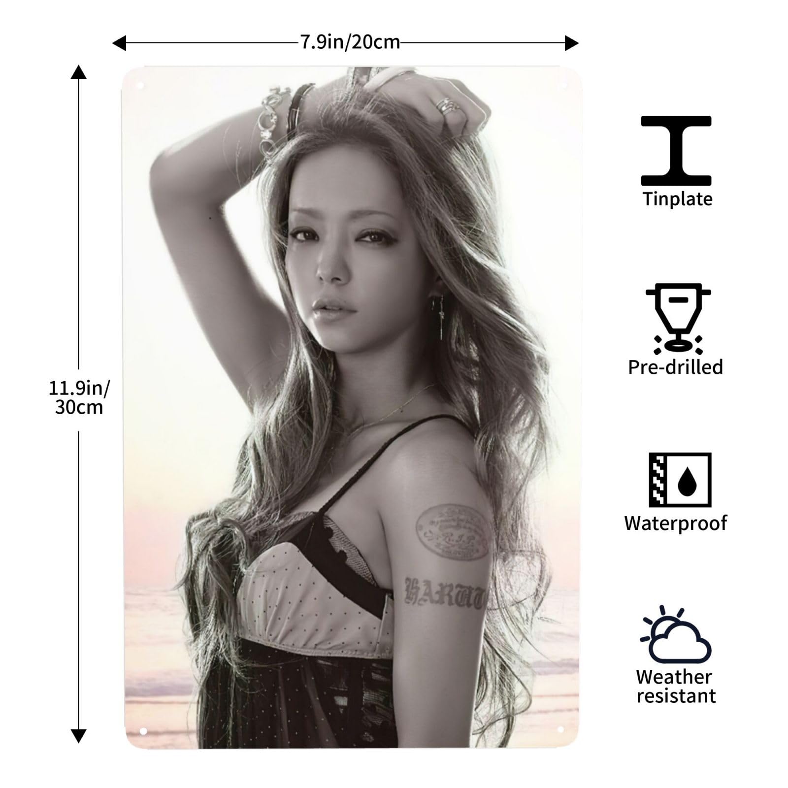 Amazon.co.jp: 安室奈美恵 メタルプレート ブリキの絵 ブリキ看板 壁の