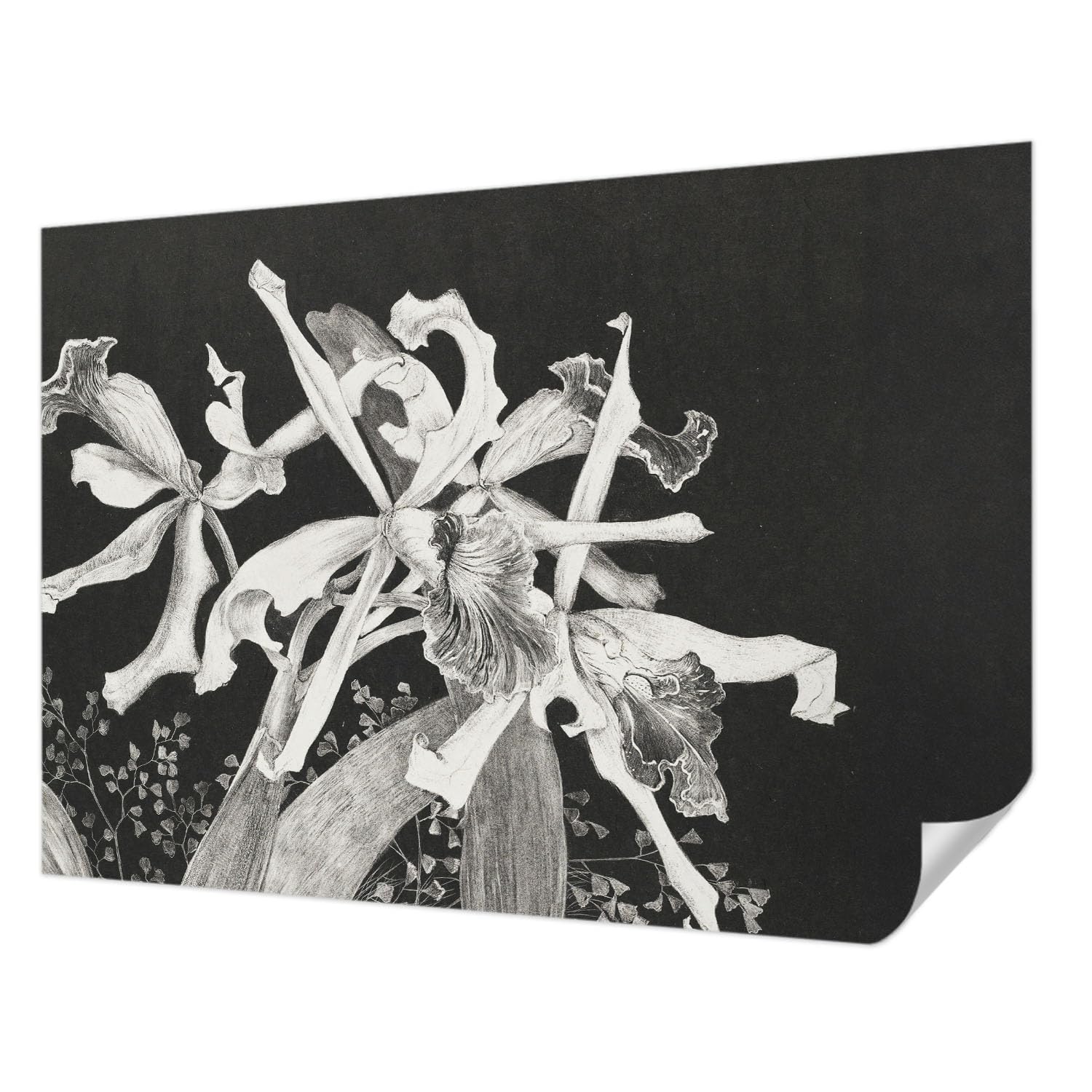 Papier peint autocollant pose facile Tulup revêtement anti-tache motif orchidée