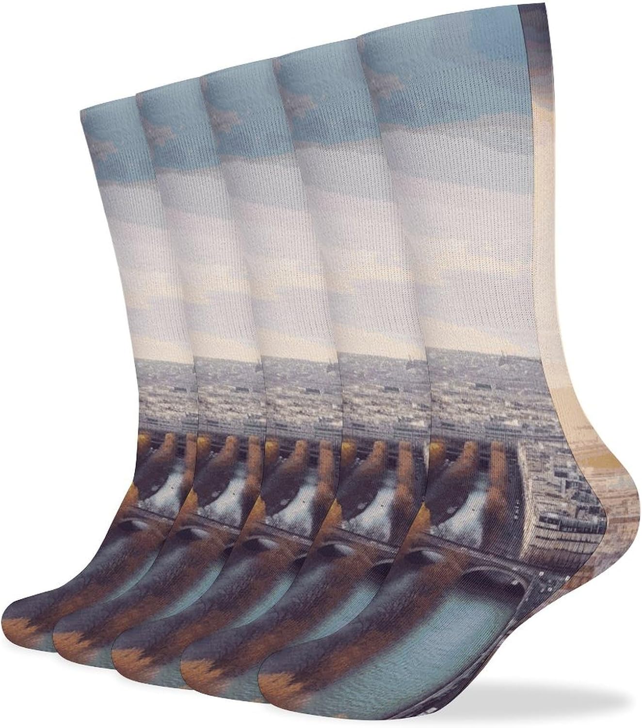 Aerial View of Paris Cityscape Crew Socks Cozy Casual Calf Socks Lightweight Long Work Sock Breathable Athletic Sock for Hiking Sports Running 5 Pairs