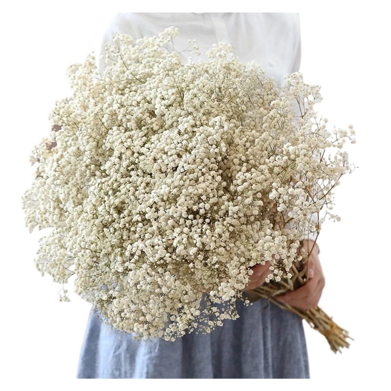 gypsophile séché Fleurs séchées Gypsophila paniculata 40-50cm, Bouquets de Fleurs Souffle bébé, décoration Mariage, Maison(Green,40g (40cm))
