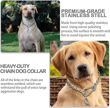 Dog Chain Collars 304 Stainless Steel Metal Chew Proof Dog Necklace Anti Winding Dog Leash Extension Lead for Small Medium Large Dogs Training and Walking. (X-Large:30in x 4mm(Neck max 27in))