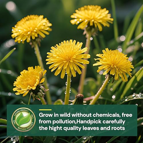 Miniatura 2 de Bolsa de té de hoja y raíz de diente de león, bolsa de té natural de desintoxicación de hierbas tostadas con diente de león para la salud del hígado