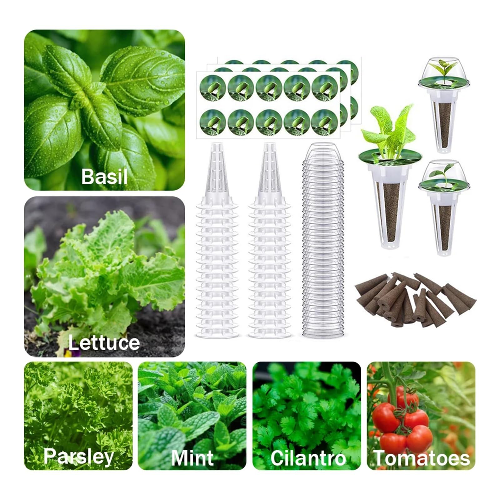Cubi di lana di roccia Kit di baccelli di semenzaio for piantine agricole trasparenti for sistema di coltivazione in serra Piante da interno for esterni Forniture idroponica per serre per una crescita