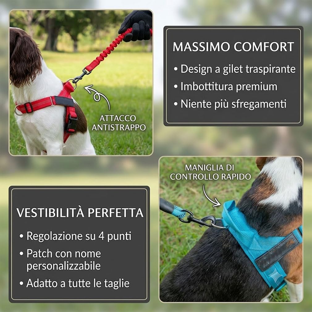 Veltrio Pettorina Cane Antitiro Regolabile, Set Complet 5-in-1 con Guinzaglio Elastico e Collare Catarifrangente, Pettorina Antitrazione per Cani Medi e Piccoli (Magenta,M)