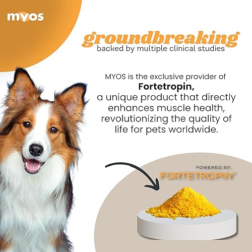 Miniatura 4 de MYOS Canine Muscle Formula - Suplemento de construcción muscular totalmente natural - Ayuda a reducir la pérdida muscular en perros envejecidos y