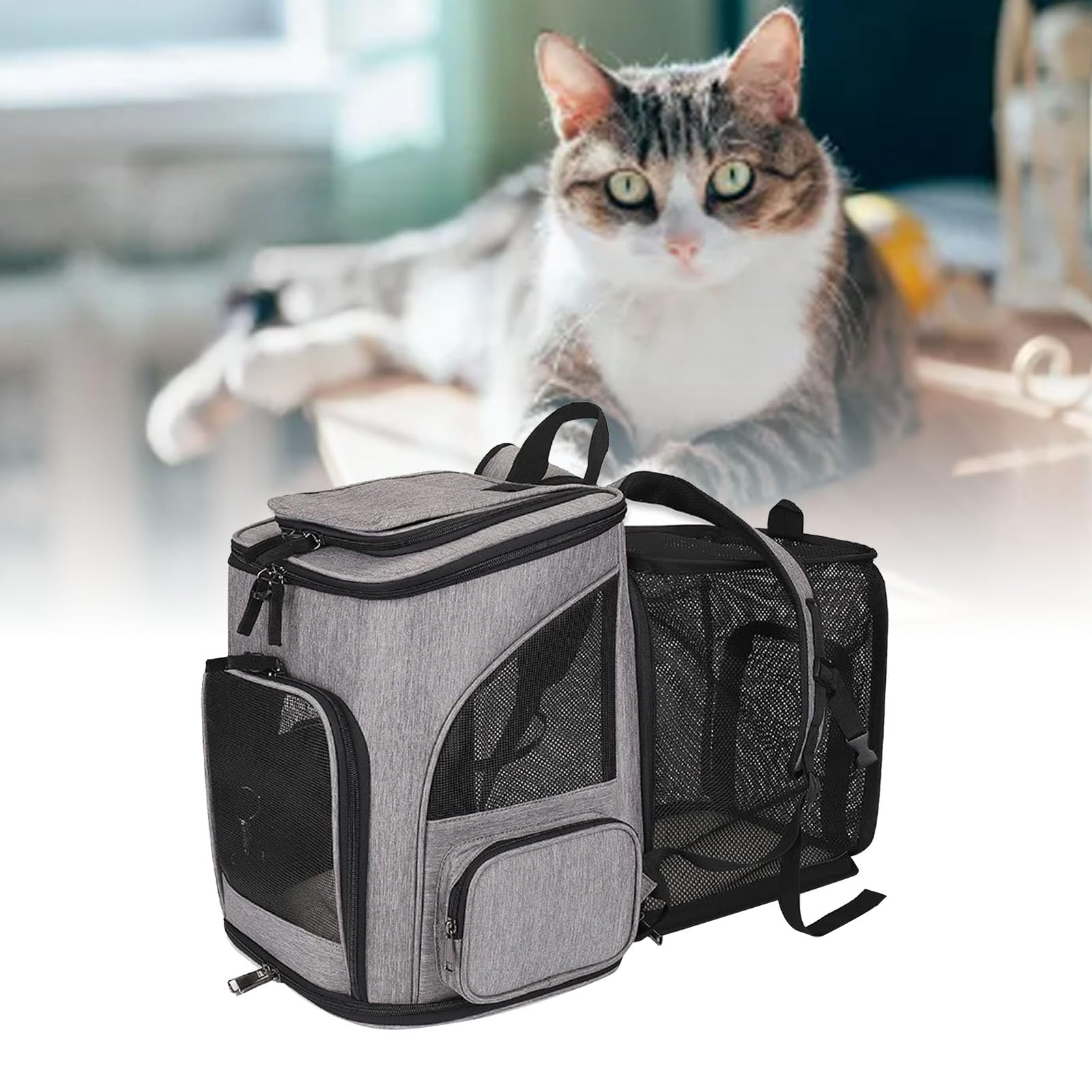 Greensen Große Katzen-Tasche, Erweiterbare Haustiertasche mit Mesh-Fenstern und Plüschkissen, für Kleine Bis Mittelgroße Katzen und Hunde Bis zu 8 Kg, Reisen Wandern Camping (Grey)