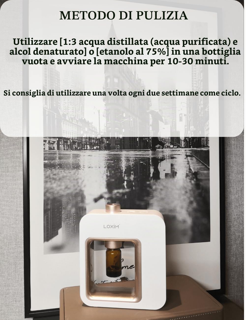 Diffusore di aromaterapia Diffusori di oli essenziali professionali, tecnologia di atomizzazione, bianca (White)