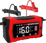 HTRC 16A Chargeur Batterie Voiture 6V 12V 24V, Chargeur de Batterie Intelligent Entièrement Automatique avec LCD pour Batteries Plomb-Acide (AGM, EFB, Gel, Calcium, SLA, VRLA) et Lithium/LiFePO4 - 9