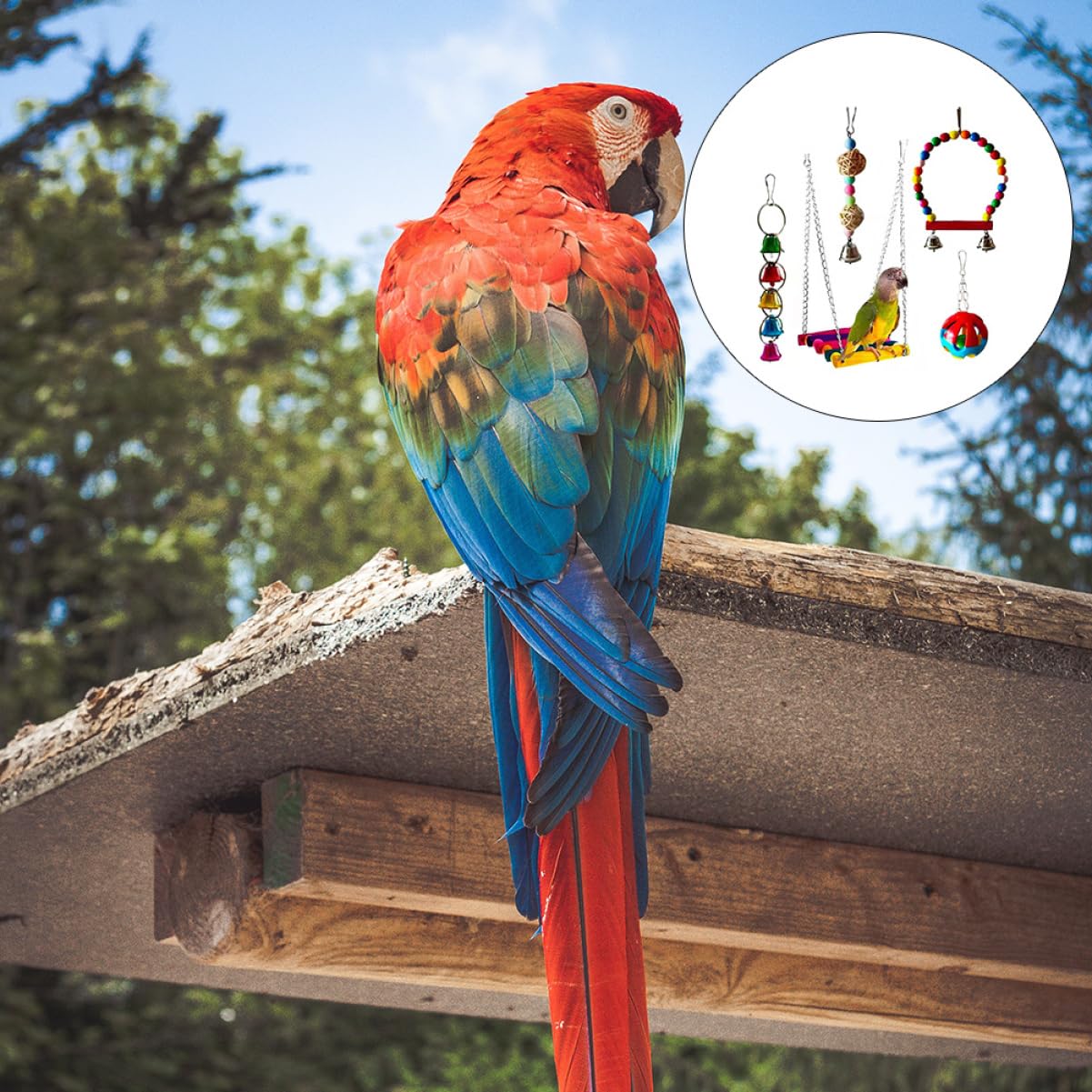 Jouets À Mordre pour Perroquets Fournitures pour Animaux De Compagnie Ensemble De Jouets À Mâcher pour Oiseaux Jouet Compact pour Oiseaux Jouet pour Le Plaisir