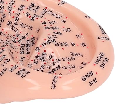 Learning Ear Acupuncture Model, Reflexology Tool Silicone Ear Acupuncture Model Display Soft for Lab