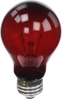 Zoo Med Nightlight Red Reptile Bulb 60 Watts (4 Pack)