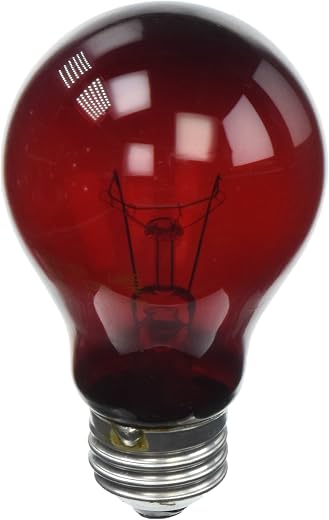 Zoo Med Nightlight Red Reptile Bulb 60 Watts (4 Pack)
