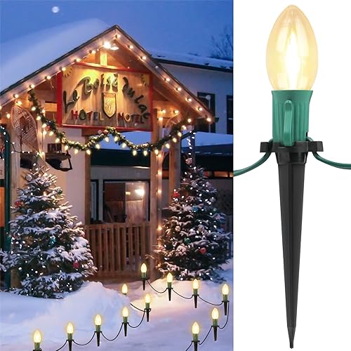 C9 - Cadena de luces de Navidad para camino 26 pies 20 luces transparentes con 20 estacas impermeable inastillable 2700 K luces de pasarela