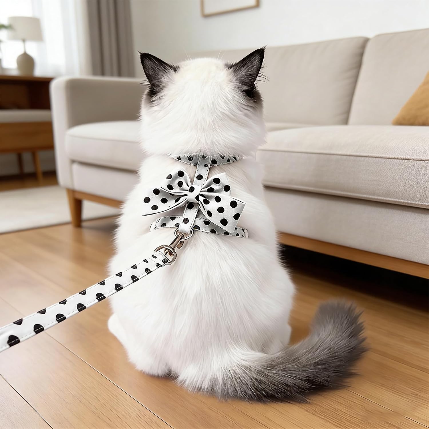 Cat Harness and Leash Set, Sweet Bow Accent Kitten Collar, Escape Proof Small Dog Harness, Cute Polka Dot Print Puppy Collar, Boy Girl Dog Leash for Cats Small Dogs Outdoor Walking (White, M)