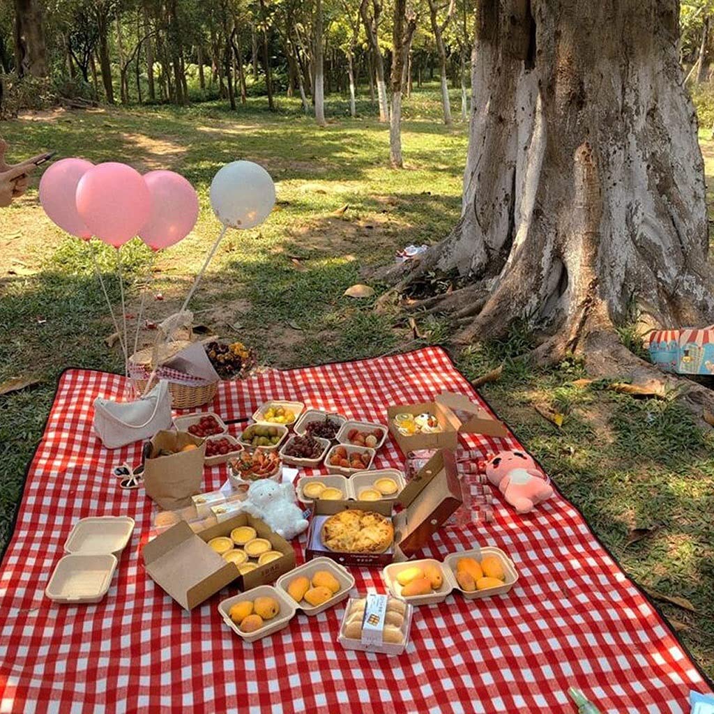 borsa da picnic Cestino da picnic fatto a mano con manico Picnic Thisper Doppio coperchio cestino del coperchio con fodera rifornimenti picnic leggeri durevoli Cesto portaoggetti da esterno per famigl