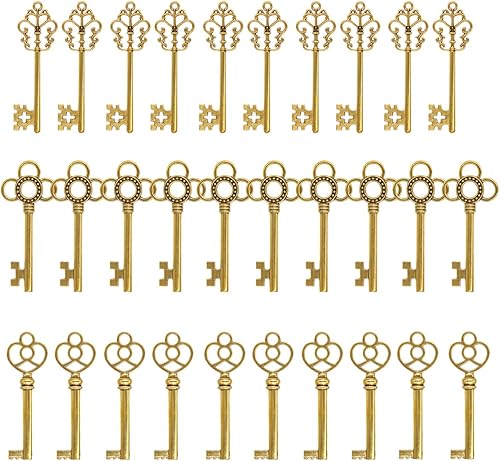 Set con mezcla de 30 llaves esqueleto, grandes, de Salome Idea