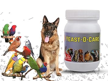 Pet Care International (PCI) Yeast-O-Care || Healthy Digestive, Immune System || for Healthy Bird, Rodent & Reptiles Healthcare || 100grm