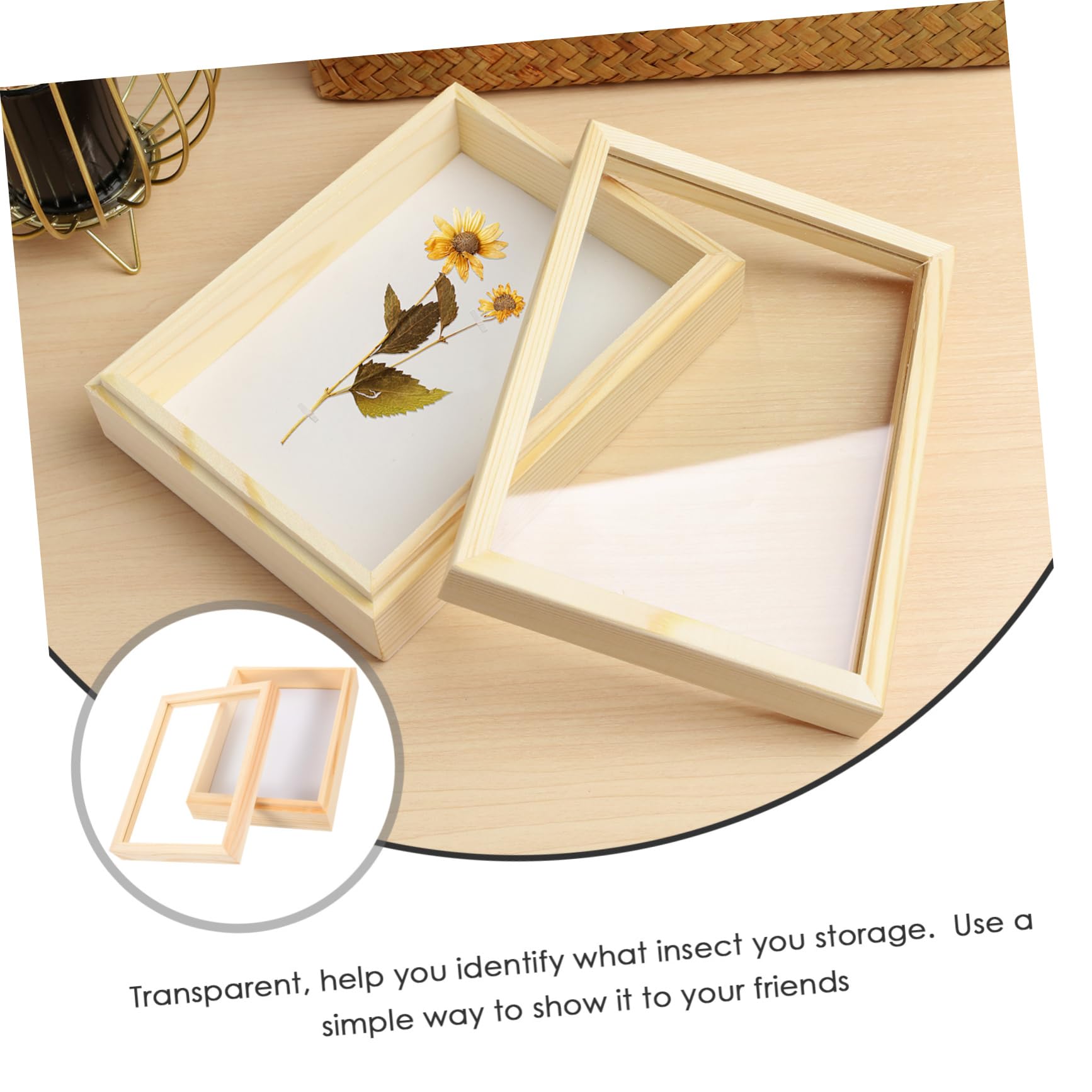 Box Insect Cage Insect Display Frame Insect Exhibit Case Entomology Display Cases Capture Tool Educaiton Tool FUNOMOCYA