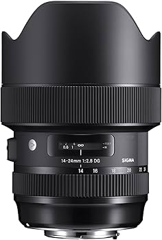 Amazon.com : Sigma 14-24mm F2.8 DG HSM, Black (212955) for Nikon