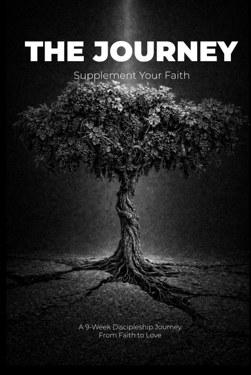 The Journey: Supplement Your Faith (The Discipleship Journey)