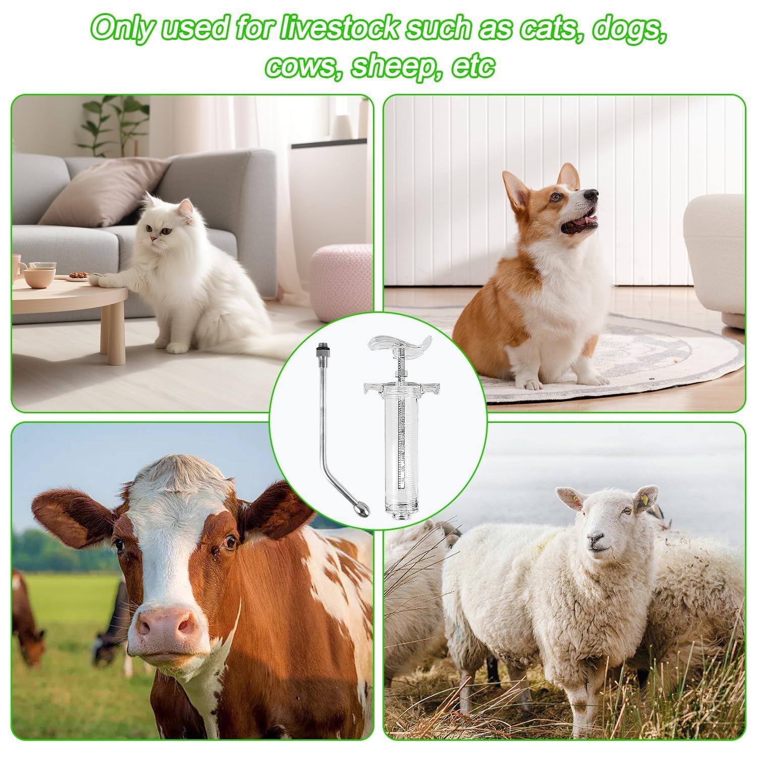 Siringhe per animali domestici, materiale plastico in acciaio, non arrugginisce facilmente, siringa, mangime per piccoli animali, siringa per uccelli, adatta per mangimi per pollame e bestiame