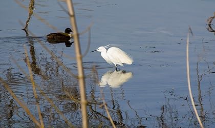 Immagine del cliente