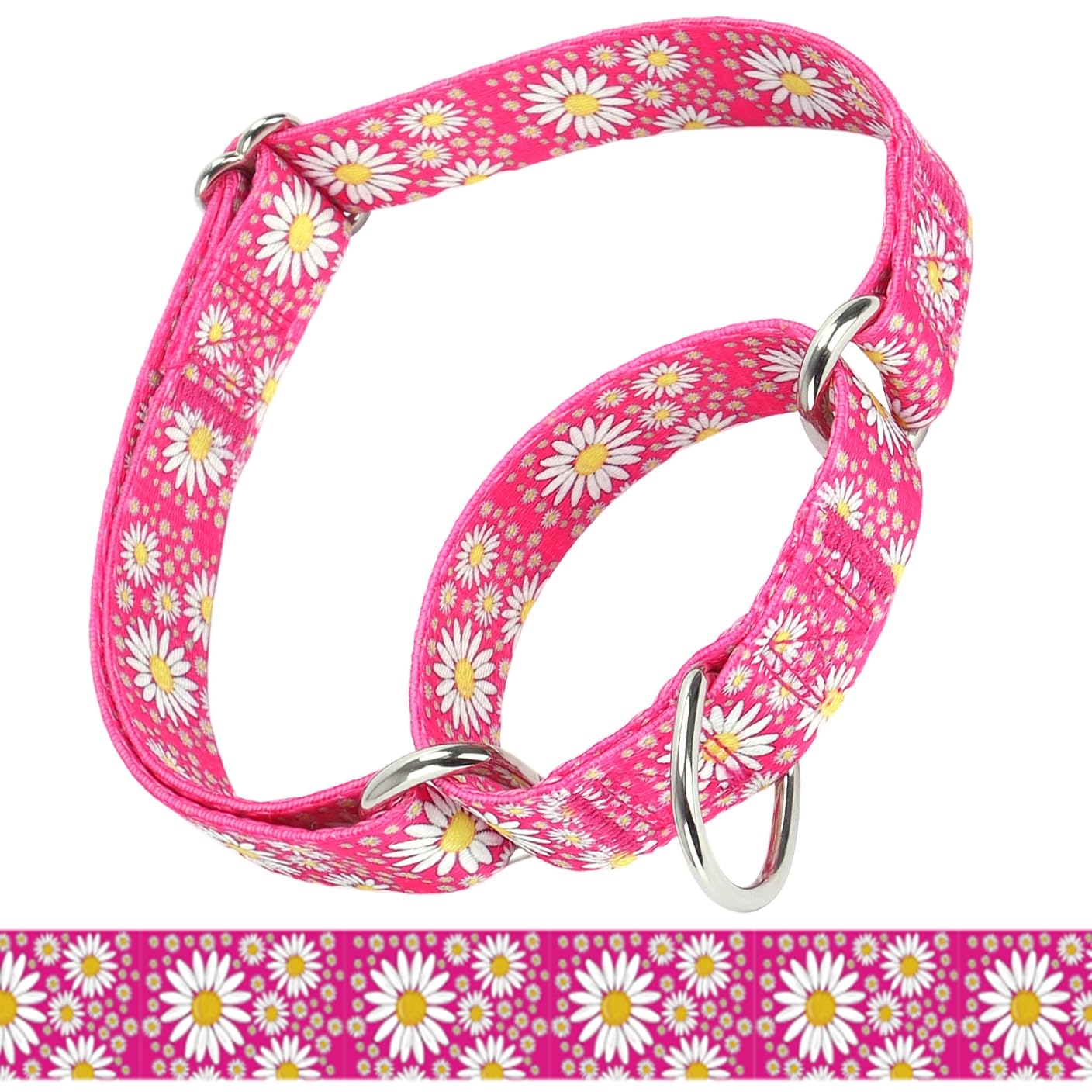 haoyueer Martingale Collar for Dogs, Adjustable Soft Nylon Dog Collars with Design Cute Daisy Design Patterns for Small Medium Large Dog (Hot Pink, Large)