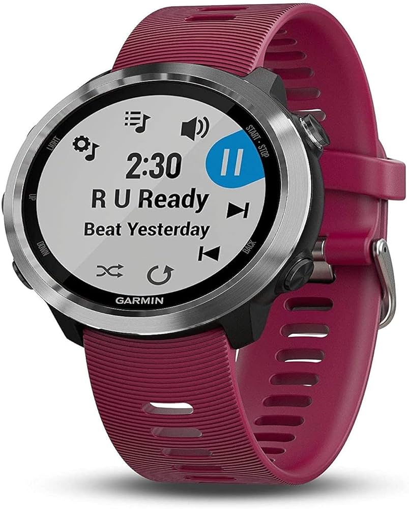 Amazon.com: Garmin 010-01863-21 Forerunner 645 Music, GPS