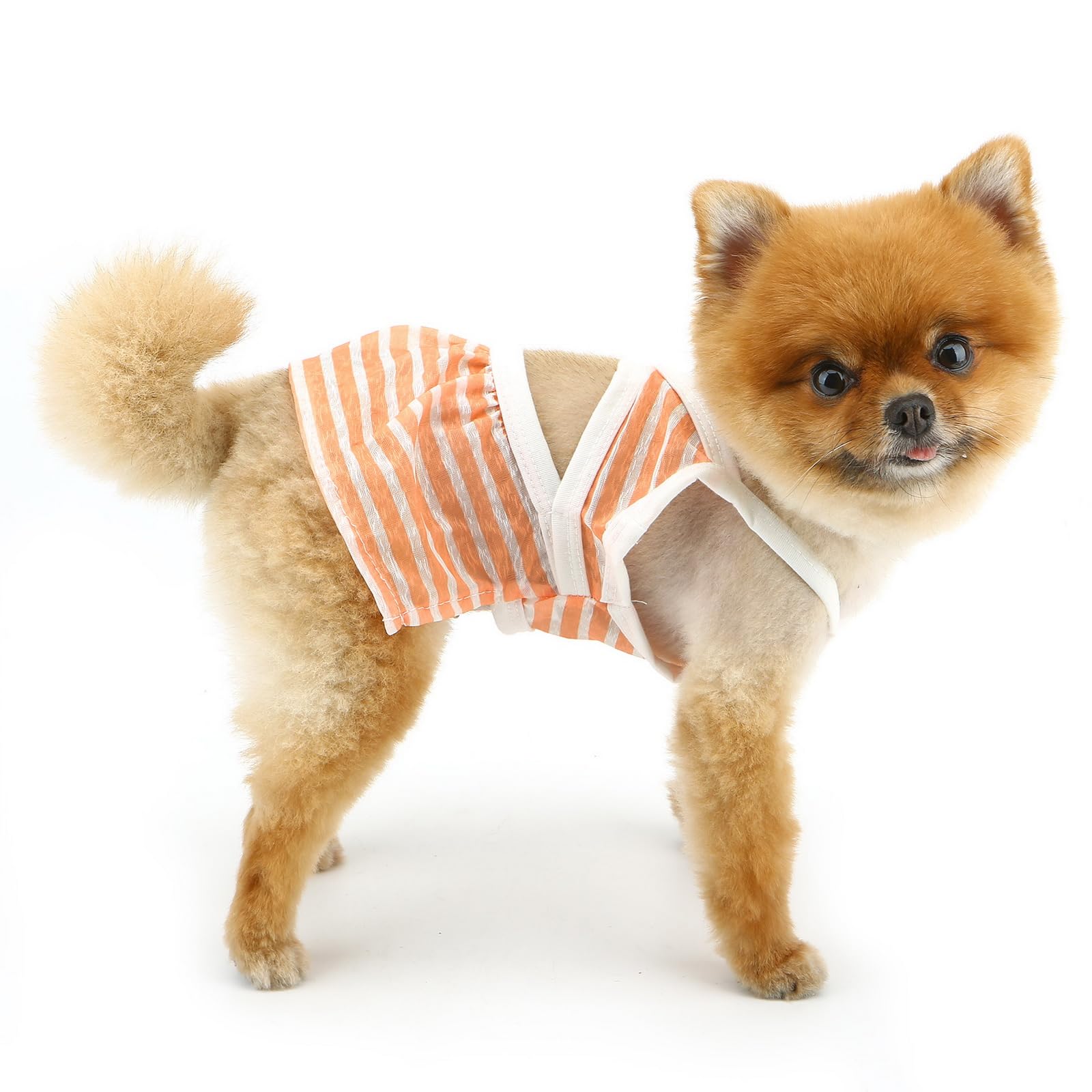 PAIDEFUL Small Dog Bikini Doggy Swimsuit Puppy Striped Bathing Suit Doggie Beach Party Dress in Seaside Pool Summer Pet Swimwear Sexy Cat Shirt Girls,Orange,XS