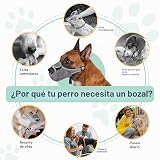 Ver la foto 7