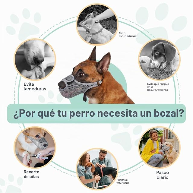 Foto 7 de 7 de SHUOHONG Bozales de Boca de Perro Transpirable de Malla de Nylon, Bozal Perro Pequeño Respirable Antiladridos