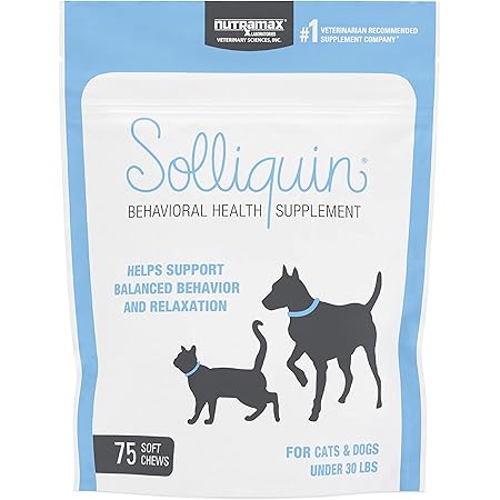 Nutramax Solliquin Calming Behavioral Health Supplement for Small to Medium Dogs and Cats - With L-Theanine, Magnolia / Phellodendron, and Whey Protein Concentrate, 75 Soft Chews