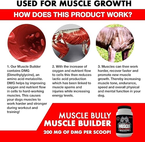 Miniatura 3 de Muscle Builder para perros - Combina ingredientes de construcción muscular clínicamente probados. Apoya el crecimiento muscular, tamaño, definición