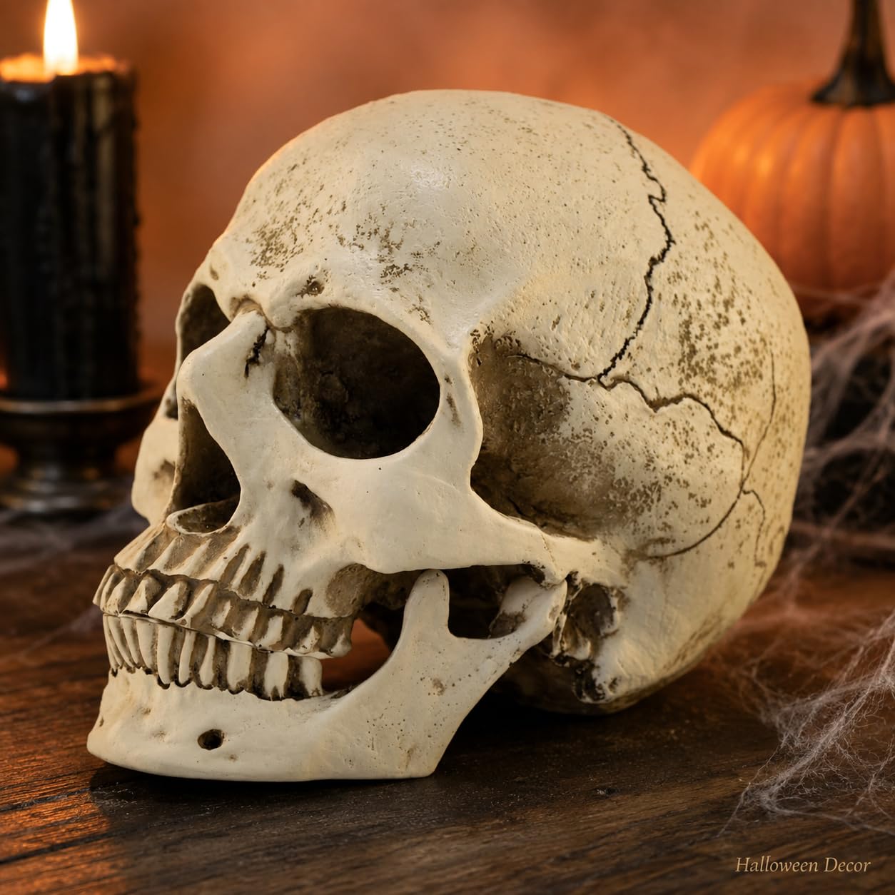ENNAS Life Size Skull Head Model, 1:1 Resin Skeleton Halloween