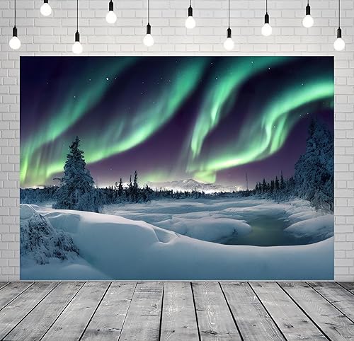 Miniatura 2 de BELECO Telón de fondo de tela de 5 x 3 pies, color verde ártico, aurora boreal, luces del norte, nieve, invierno, escena, bosque de pinos, paisaje