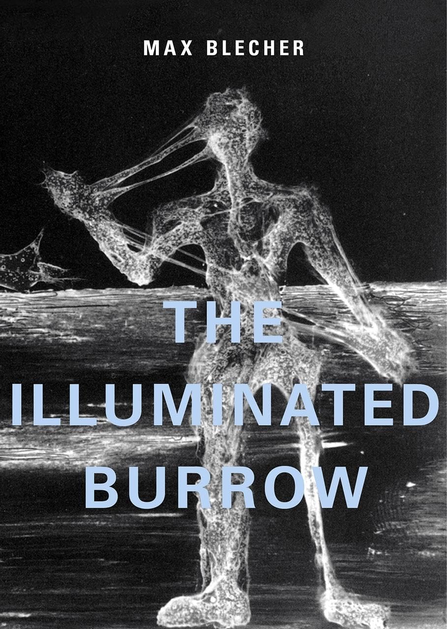 The Illuminated Burrow A Sanatorium Journal by Max Blecher (Hardback Book)