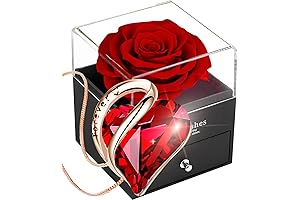 Eternal Rose Gift for Mother's Day: Preserved Rose, Crystal Necklace, and Birthstone Jewelry