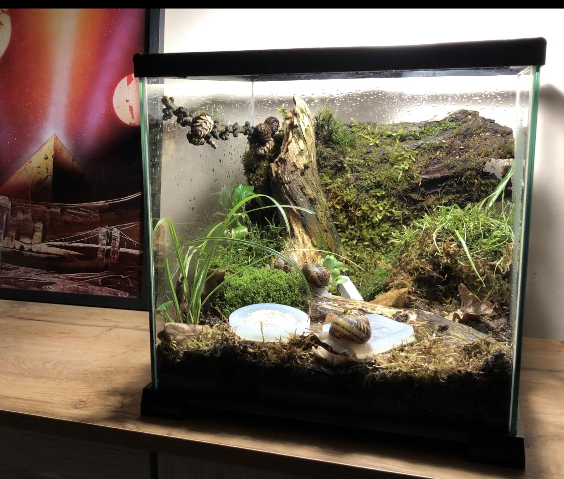 Terrarium Pro Kit - Das ultimative Schneckenpflege-Starterpaket für riesige afrikanische Landschnecken, Helix Aspersa, Helix Pomatia, Hainschnecken usw